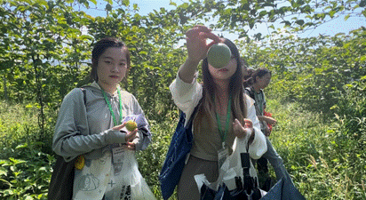 clip_image012.gif